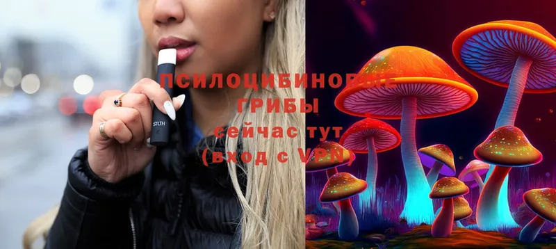 Псилоцибиновые грибы Magic Shrooms  Абинск 